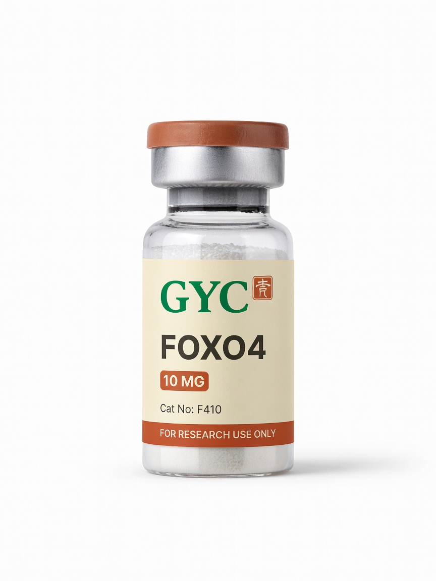 FOXO4 10mg*10vials — GYC