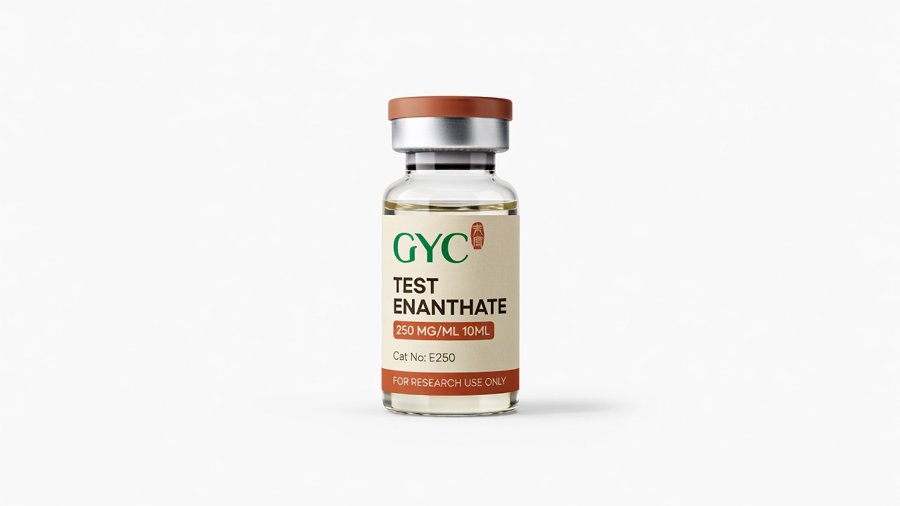 Test Enanthate 250mg/ml*10ml — GYC